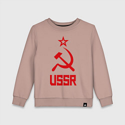 Свитшот хлопковый детский СССР - великая держава, цвет: пыльно-розовый