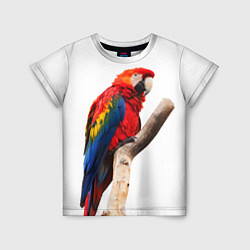 Детская футболка Яркий попугай