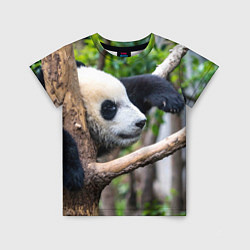 Детская футболка Бамбуковый медведь