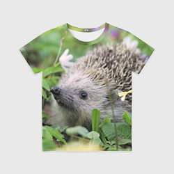 Детская футболка Лесной ёжик в траве