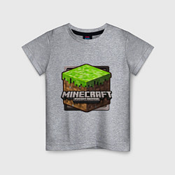 Детская футболка Minecraft: Pocket Edition