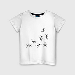 Детская футболка Рой муравьев