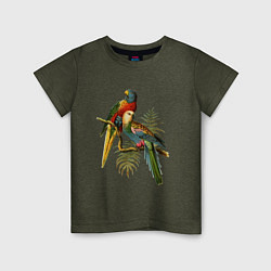 Футболка хлопковая детская Тропические попугаи, цвет: меланж-хаки