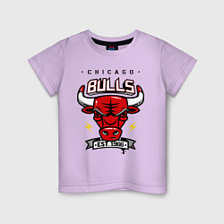 Детская футболка Chicago Bulls est. 1966