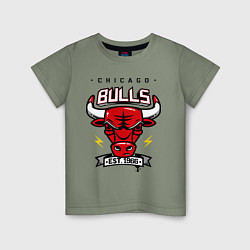 Детская футболка Chicago Bulls est. 1966