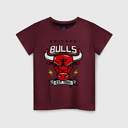 Детская футболка Chicago Bulls est. 1966