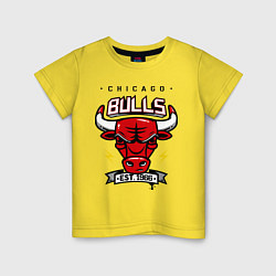 Детская футболка Chicago Bulls est. 1966