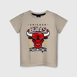 Детская футболка Chicago Bulls est. 1966