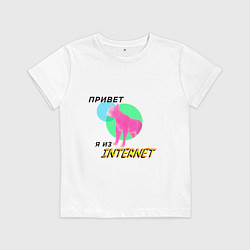 Детская футболка Привет я из internet