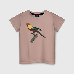 Детская футболка Попугай аратинга