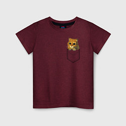 Детская футболка Шрек: Кот в кармане