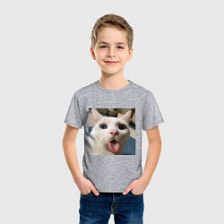 Футболка хлопковая детская Мем про кота, цвет: меланж — фото 2