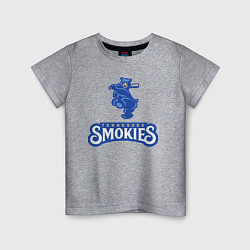 Детская футболка Tennessee smokies - baseball team