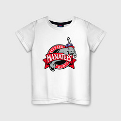 Детская футболка Brevard County Manatees - baseball team