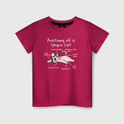 Детская футболка Анатомия кошки сфинкса