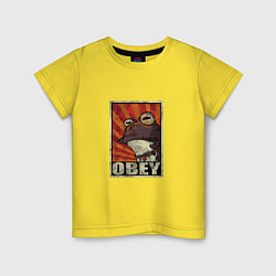 Детская футболка Obey frog