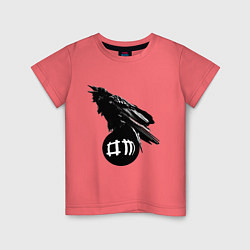 Детская футболка DM Raven