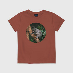 Футболка хлопковая детская Коала уснула, цвет: кирпичный