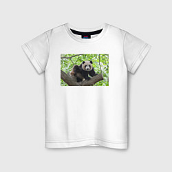 Футболка хлопковая детская Медведь панда на дереве, цвет: белый