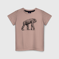 Детская футболка Шимпанзе гуляет