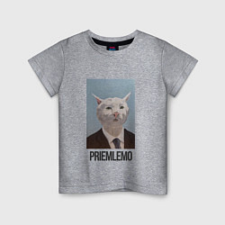 Детская футболка Приемлемо - кот мем в живописи