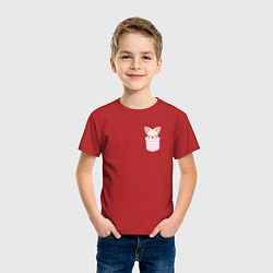 Футболка хлопковая детская FoxINy in pocket, цвет: красный — фото 2