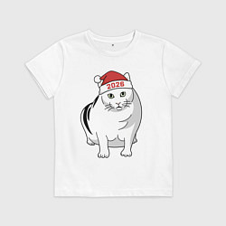 Детская футболка Мемный кот Бендер - 2026