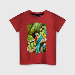 Детская футболка Экзотические попугаи