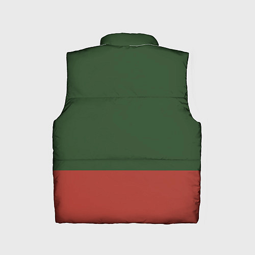 Детский жилет Мотострелковые войска: герб со щитом / 3D-Красный – фото 2