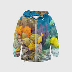 Ветровка с капюшоном детская Морской мир, цвет: 3D-белый