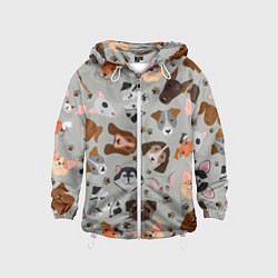 Детская ветровка Dog pattern color