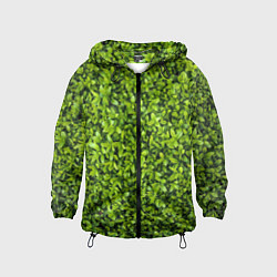 Ветровка с капюшоном детская Зелёная трава листья, цвет: 3D-черный