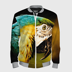Бомбер мужской Улыбка попугая, цвет: 3D-меланж
