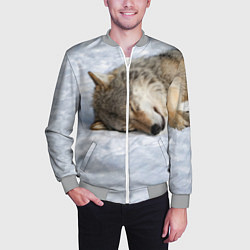 Бомбер мужской Спящий Волк, цвет: 3D-меланж — фото 2