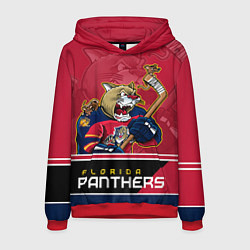 Мужская толстовка Florida Panthers