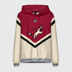Толстовка-худи мужская NHL: Arizona Coyotes, цвет: 3D-меланж
