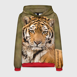 Толстовка-худи мужская Милый тигр, цвет: 3D-красный