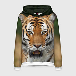 Толстовка-худи мужская Рык тигра, цвет: 3D-белый