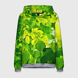 Толстовка-худи мужская Зелёные листья, цвет: 3D-меланж