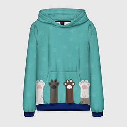 Мужская толстовка Лапки котеек