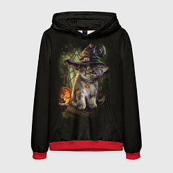 Мужская толстовка Ведьмин котенок