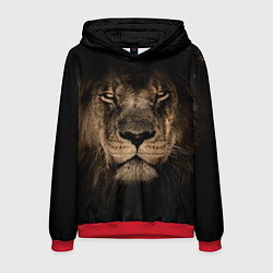 Мужская толстовка Львиный взгляд