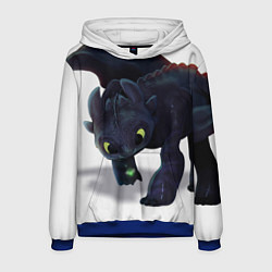 Мужская толстовка Как приручить дракона