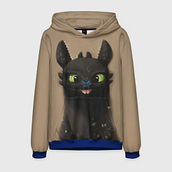 Мужская толстовка Как приручить дракона