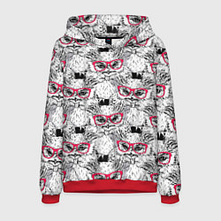 Мужская толстовка Совы в очках