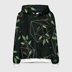 Мужская толстовка Геометрия в природе