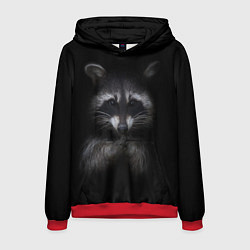 Мужская толстовка Енот