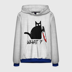 Мужская толстовка What cat