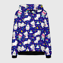 Мужская толстовка Кот-Единорог