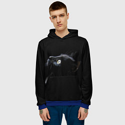 Толстовка-худи мужская Кот, цвет: 3D-синий — фото 2